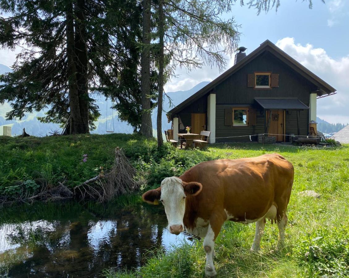 Gemuetliche Huette In Den Bergen Βίλα Sonnenalpe Nassfeld Εξωτερικό φωτογραφία