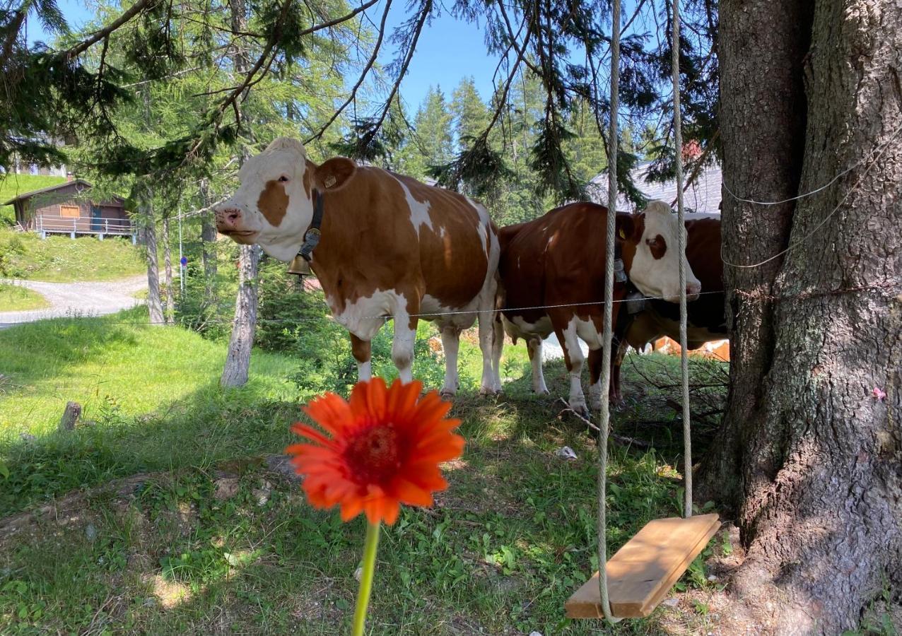 Gemuetliche Huette In Den Bergen Βίλα Sonnenalpe Nassfeld Εξωτερικό φωτογραφία