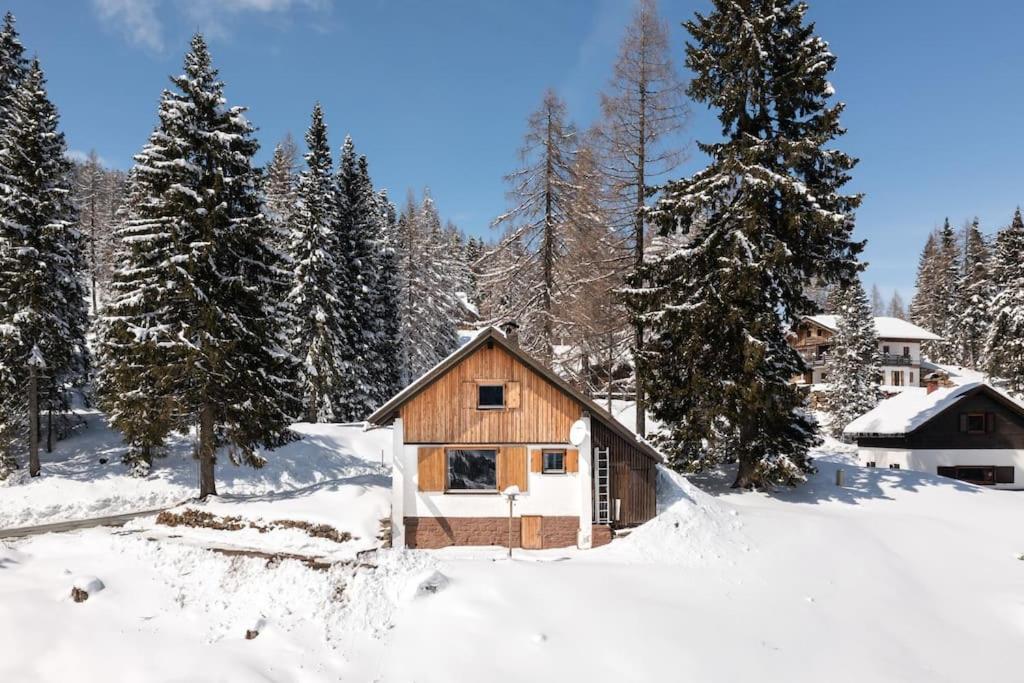 Gemuetliche Huette In Den Bergen Βίλα Sonnenalpe Nassfeld Εξωτερικό φωτογραφία
